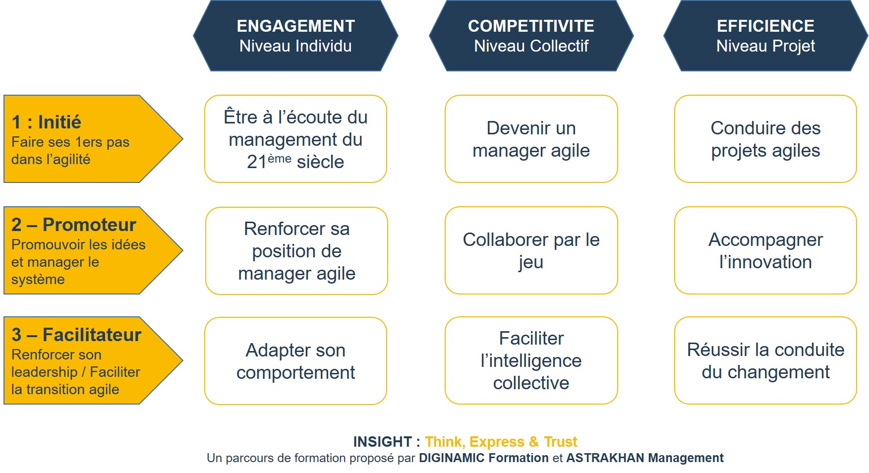 insight-schema-modules
